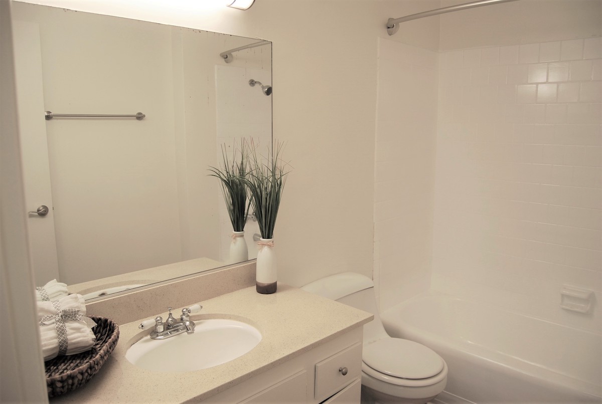 Stylish restroom with counter, mirror, toilet and shower.