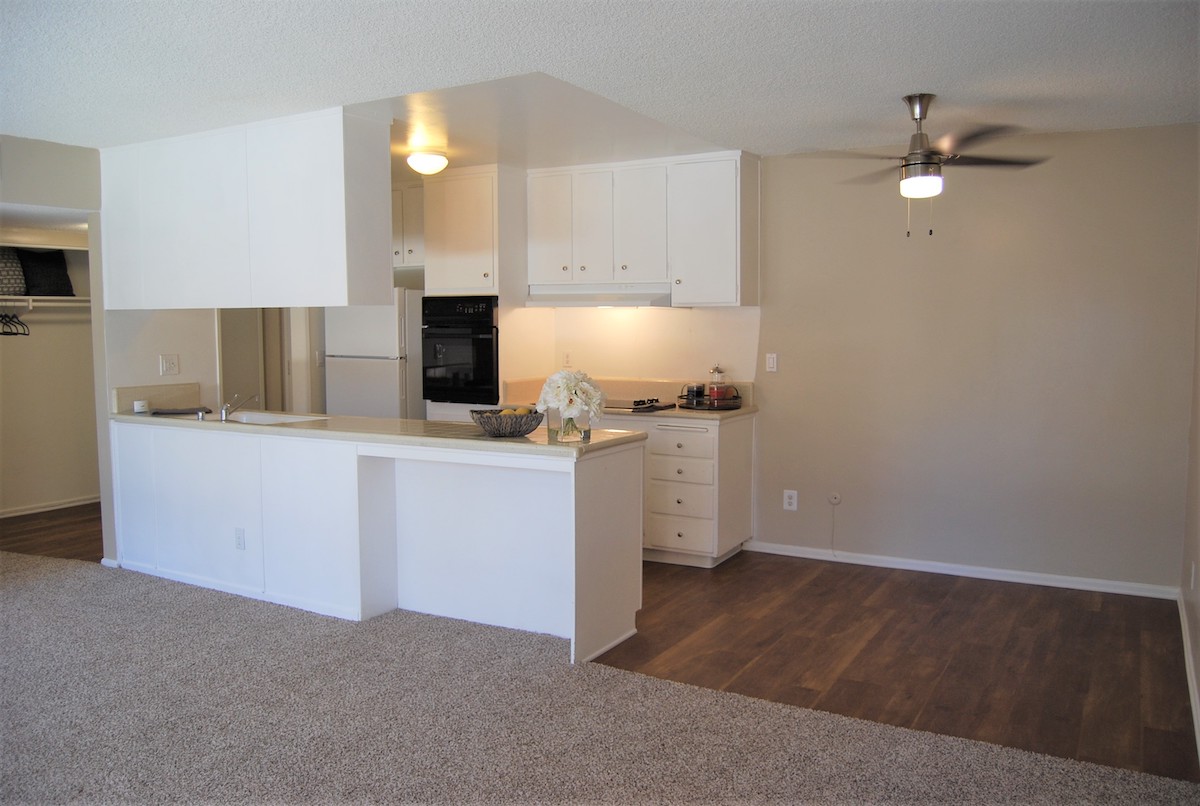 Large apartment living room with plush carpeting looking towards the kitchen.