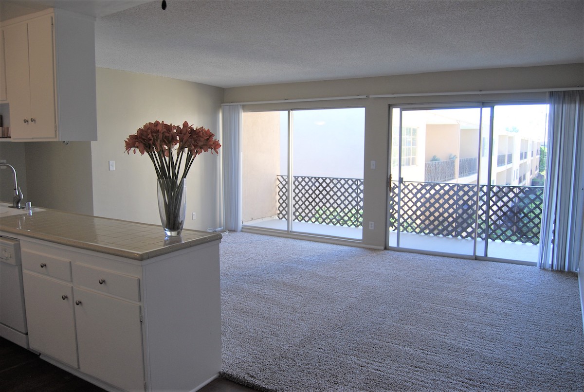 Large apartment living room with plush carpeting, wide balcony in background.